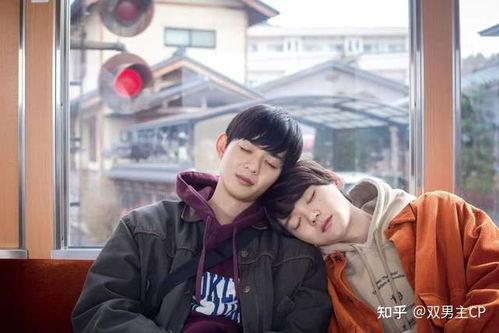 娱乐圈吃瓜小说双男主推荐